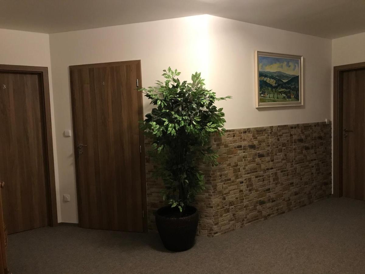 Na Planyrce Hotel Paseky nad Jizerou Buitenkant foto