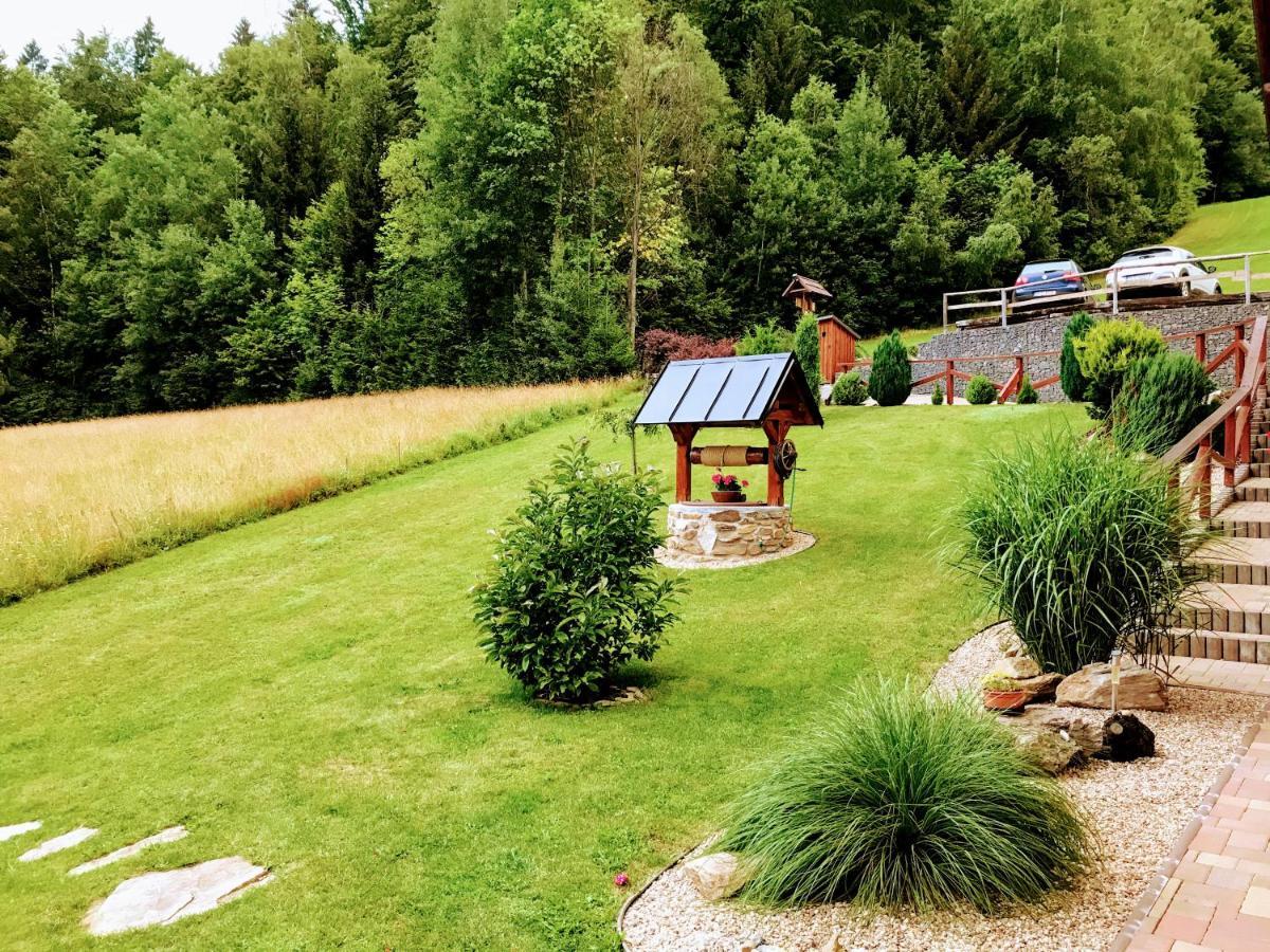 Na Planyrce Hotel Paseky nad Jizerou Buitenkant foto