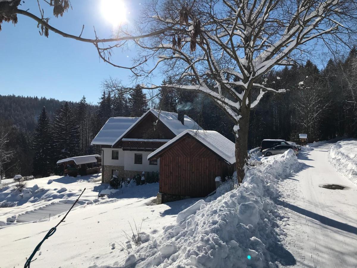 Na Planyrce Hotel Paseky nad Jizerou Buitenkant foto