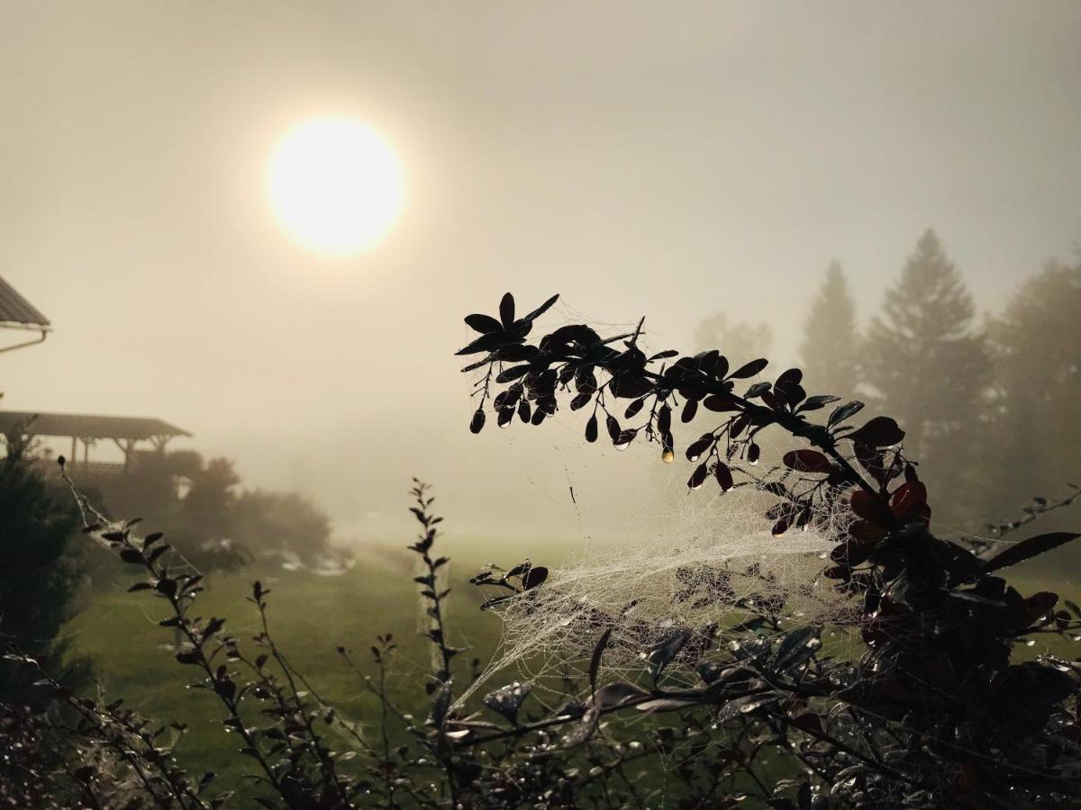 Na Planyrce Hotel Paseky nad Jizerou Buitenkant foto