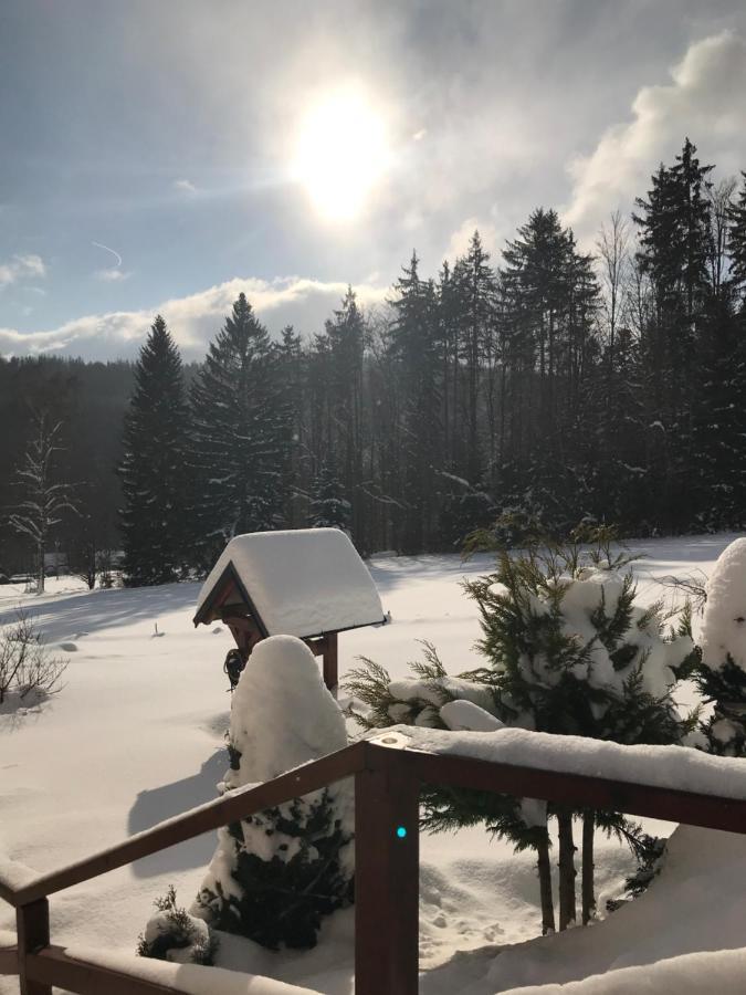 Na Planyrce Hotel Paseky nad Jizerou Buitenkant foto