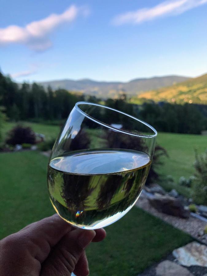 Na Planyrce Hotel Paseky nad Jizerou Buitenkant foto