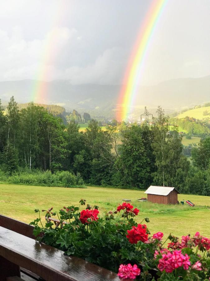 Na Planyrce Hotel Paseky nad Jizerou Buitenkant foto